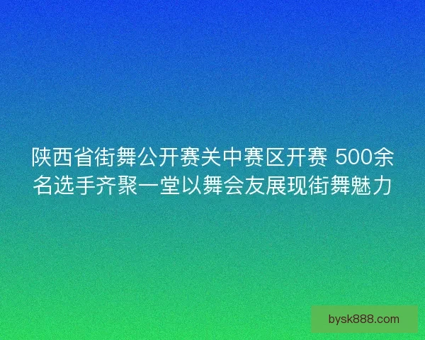 陕西省街舞公开赛关中赛区开赛 500余名选手齐聚一堂以舞会友展现街舞魅力 陕西省街舞公开赛关中赛区开赛 500余名选手齐聚一堂以舞会友展现街舞魅力